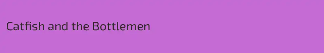 Catfish and the Bottlemen